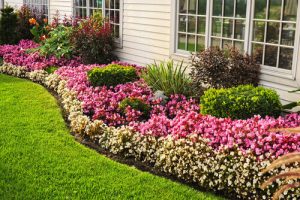 how to have an allergy free garden