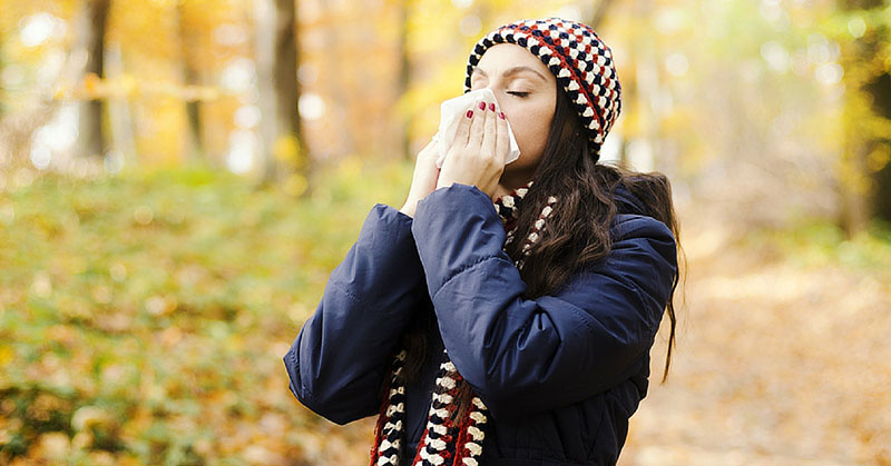 allergy doctor